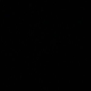 Meet your Posher, Jesus